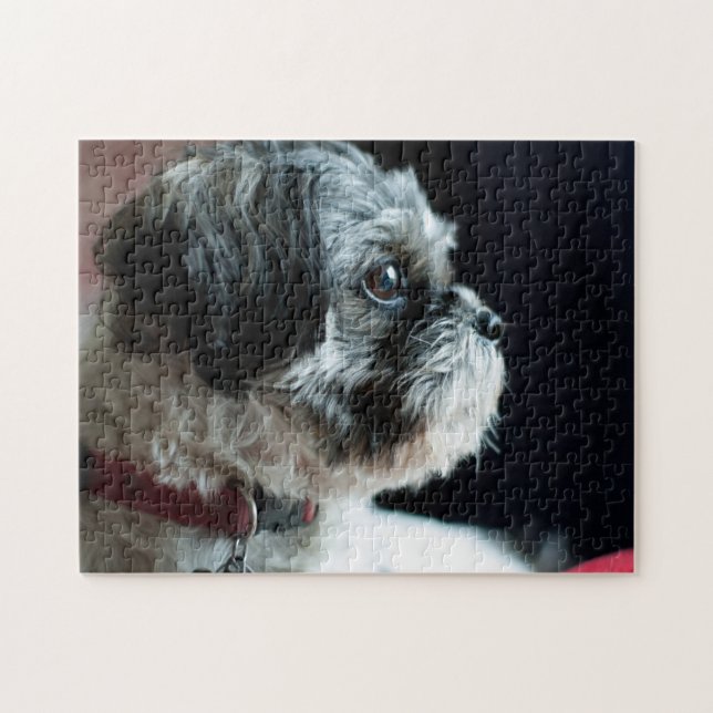 Niedlich Shih Tzu Puzzle (Horizontal)