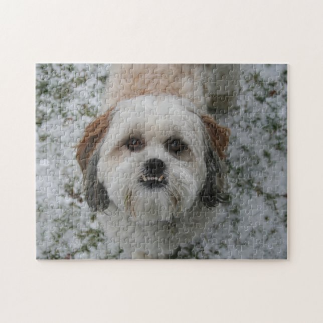 Niedlich Shih Tzu Underbite Puzzle (Horizontal)