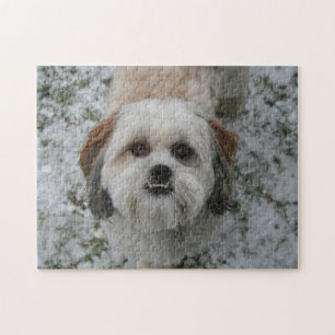 Niedlich Shih Tzu Underbite Puzzle