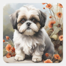 Niedlich Shih tzu Welpenstift