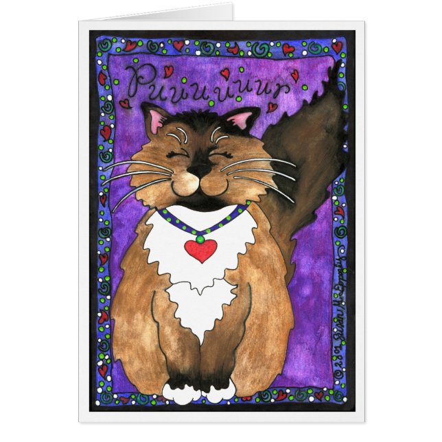 Niedlich Siam Ragdoll Kitty Cat (Vorne)