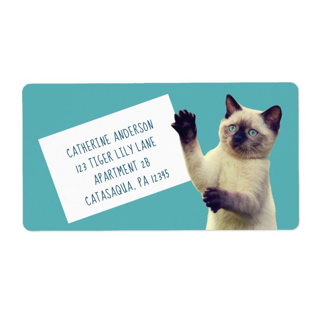 Niedlich Siamese Kitten Aquamarin Blue Large (Vorne)