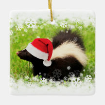 Niedlich Skunk Weihnachtsfeiertag