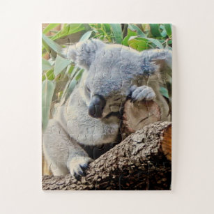 Niedlich Sleeping Koala Puzzle