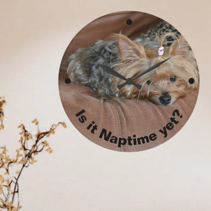 Niedlich Sleepy Yorkshire Terrier Große Wanduhr