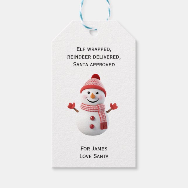 Niedlich Snowman Geschenkanhänger (Vorderseite)