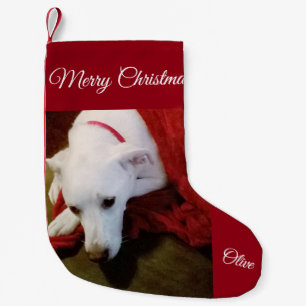 Niedlich Snowy White Labrador Mix Dog Weihnachtsfe Kleiner Weihnachtsstrumpf