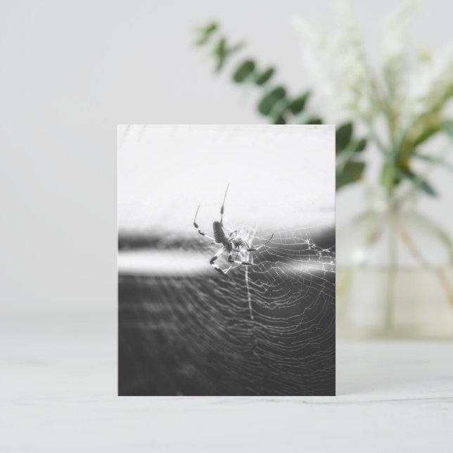 Niedlich Spider Tangled Weave | Spider Lover Gesch (Stehend Vorderseite)