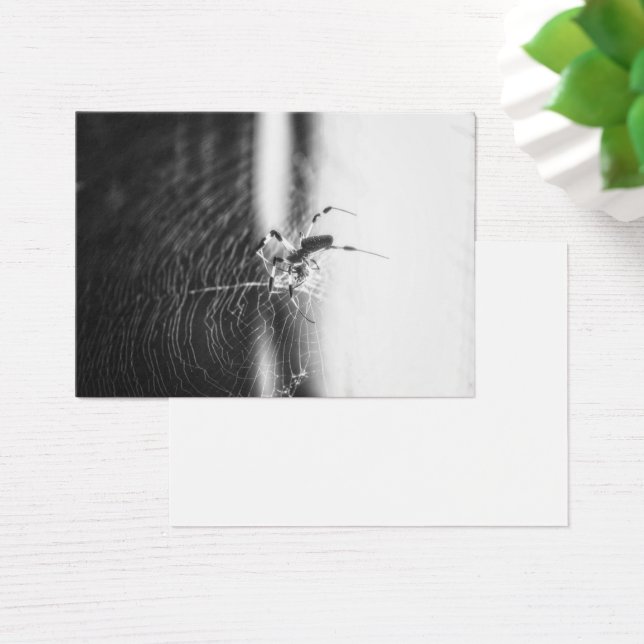 Niedlich Spider Tangled Weave | Spider Lover Gesch (Schreibtisch)