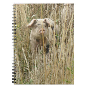 Niedlich Spott-Schweinegrippe-Notebook Notizblock