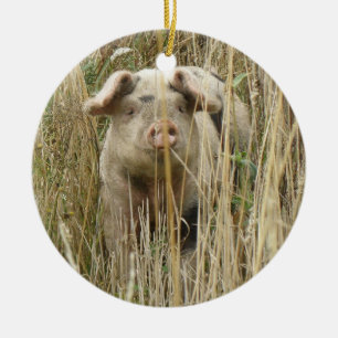 Niedlich Spotty Pig Custom Geburtstag Keramikornament