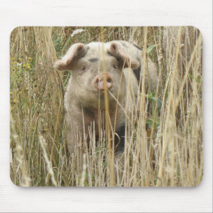 Niedlich Spotty Pig Mousepad