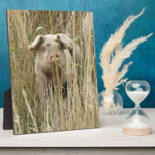 Niedlich Spotty Pig Plaque Fotoplatte