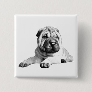 Niedlich Square Shar Pei Button