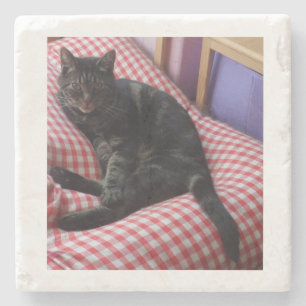 Niedlich Stone Untersetzer