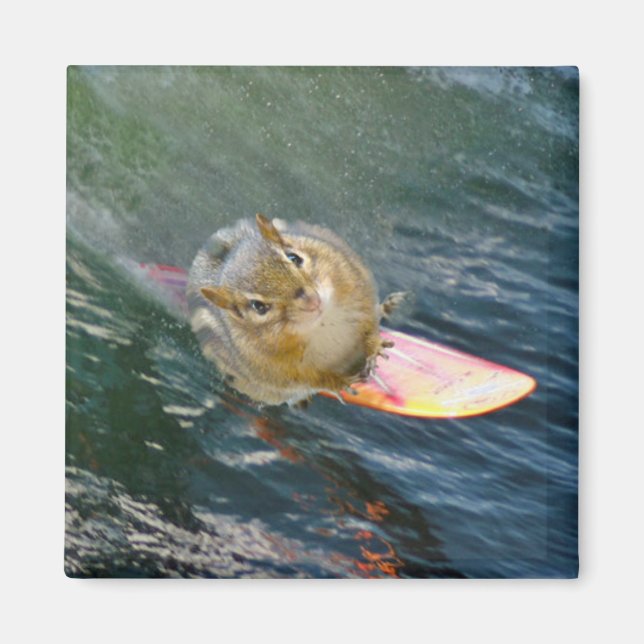 Niedlich Surfen Chipmunk Magnet (Vorne)