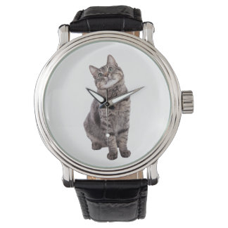 Niedlich Tabby Cat Armbanduhr