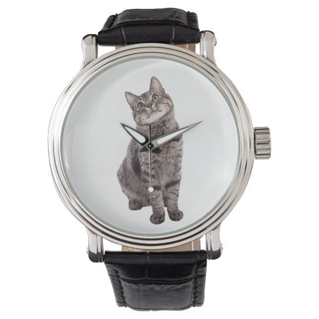 Niedlich Tabby Cat Armbanduhr (Vorderseite)