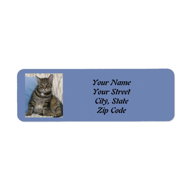 Niedlich Tabby Cat Blue (Vorne)
