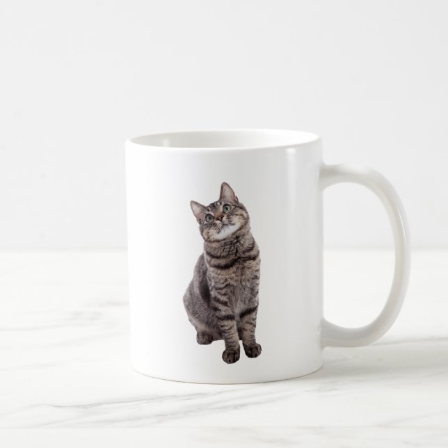 Niedlich Tabby Cat Kaffeetasse (Rechts)