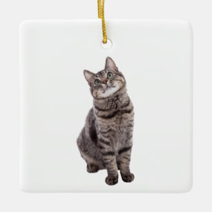 Niedlich Tabby Cat Keramikornament