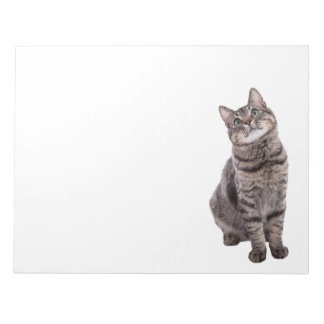 Niedlich Tabby Cat Notizblock