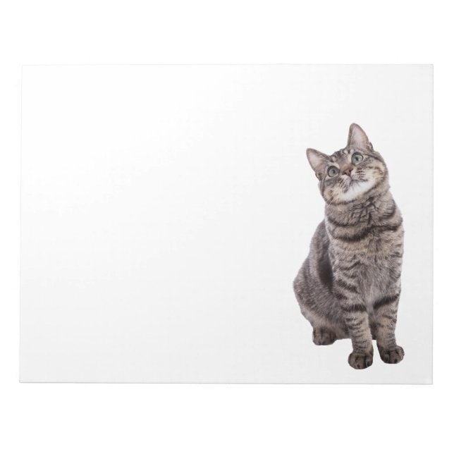 Niedlich Tabby Cat Notizblock (Vorderseite)