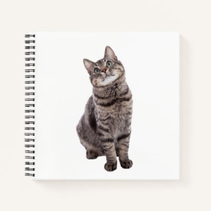 Niedlich Tabby Cat Notizbuch