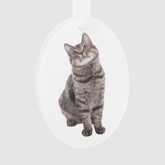 Niedlich Tabby Cat Ornament