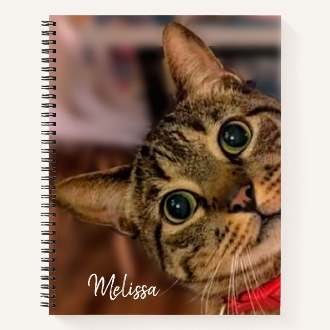 Niedlich Tabby Cat Personalisiert Notizbuch (Vorderseite)