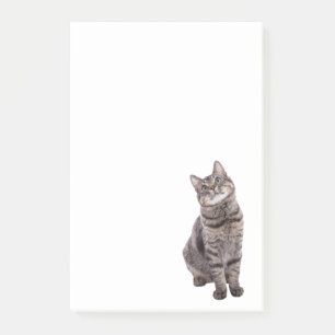 Niedlich Tabby Cat Post-it Klebezettel