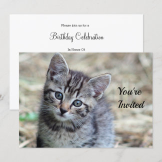 Niedlich Tabby Kitten Foto Geburtstag Einladung
