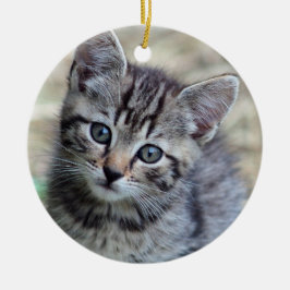 Niedlich Tabby Kitten Foto Keramik Ornament