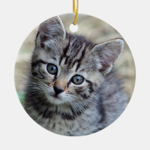Niedlich Tabby Kitten Foto Keramik Ornament