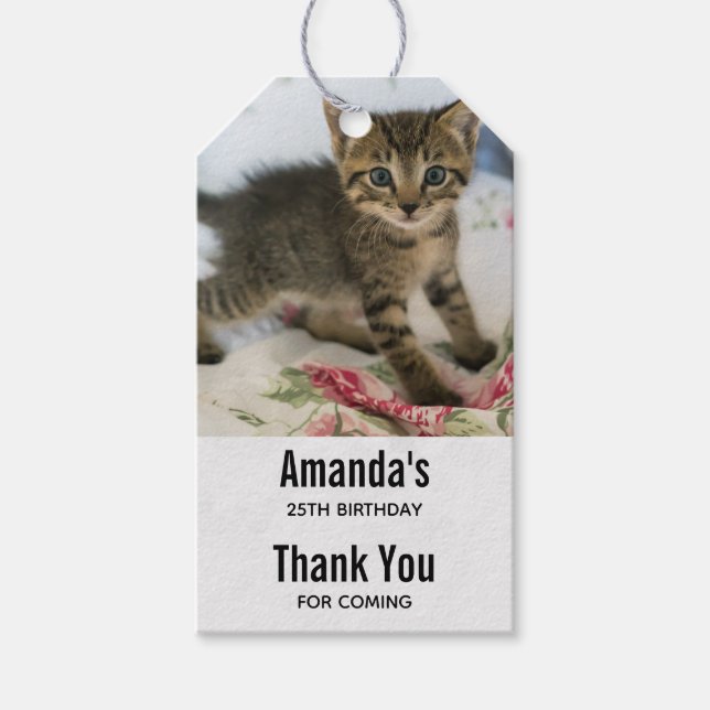 Niedlich Tabby Kitten sieht überraschend am Geburt Geschenkanhänger (Vorderseite)