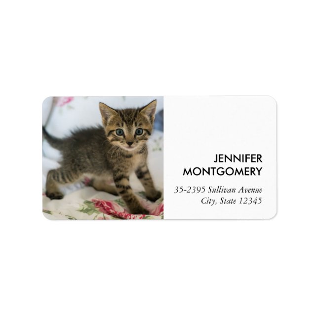 Niedlich Tabby Kitten sieht überraschend aus Adressaufkleber (Vorne)