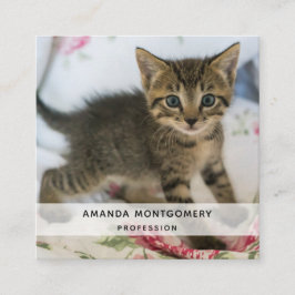 Niedlich Tabby Kitten sieht überraschend aus Quadratische Visitenkarte