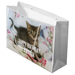 Niedlich Tabby Kitten sieht überraschend Geburtsta Große Geschenktüte