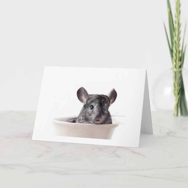 Niedlich Teacup Chinchilla Grau Karte (Vorderseite)