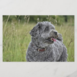 Niedlich Terrier Dog Briefpapier
