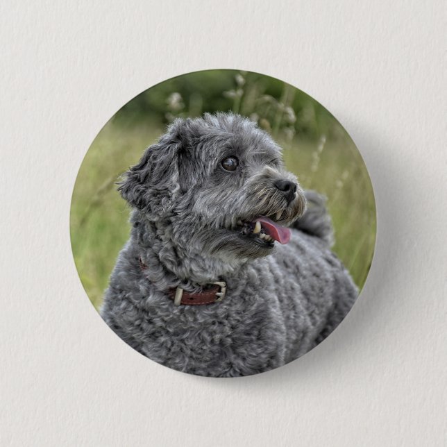 Niedlich Terrier Dog Button (Vorderseite)