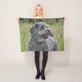 Niedlich Terrier Dog Fleecedecke