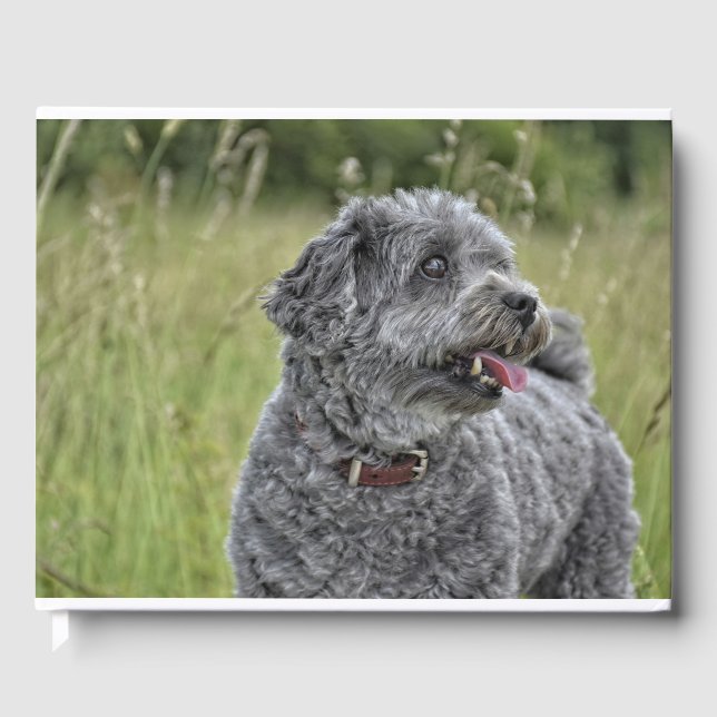 Niedlich Terrier Dog Gästebuch (Vorderseite)