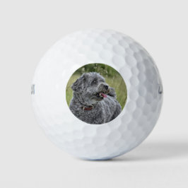 Niedlich Terrier Dog Golfball