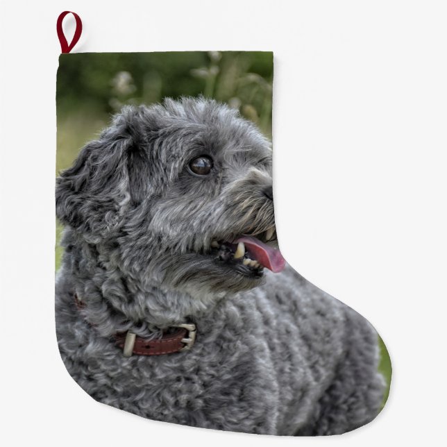 Niedlich Terrier Dog Großer Weihnachtsstrumpf (Vorderseite)