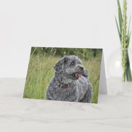 Niedlich Terrier Dog Karte