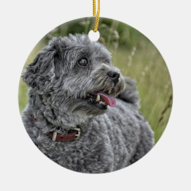 Niedlich Terrier Dog Keramik Ornament (Vorne)