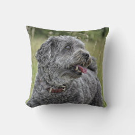 Niedlich Terrier Dog Kissen