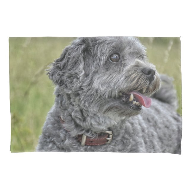 Niedlich Terrier Dog Kissenbezug (Vorderseite)