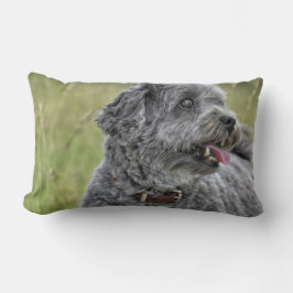 Niedlich Terrier Dog Lendenkissen